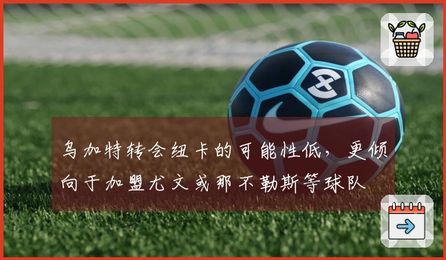 乌加特转会纽卡的可能性低，更倾向于加盟尤文或那不勒斯等球队
