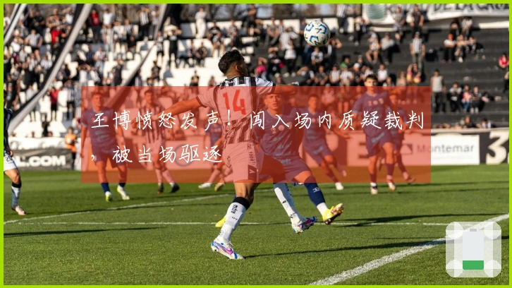 王博愤怒发声！闯入场内质疑裁判，被当场驱逐